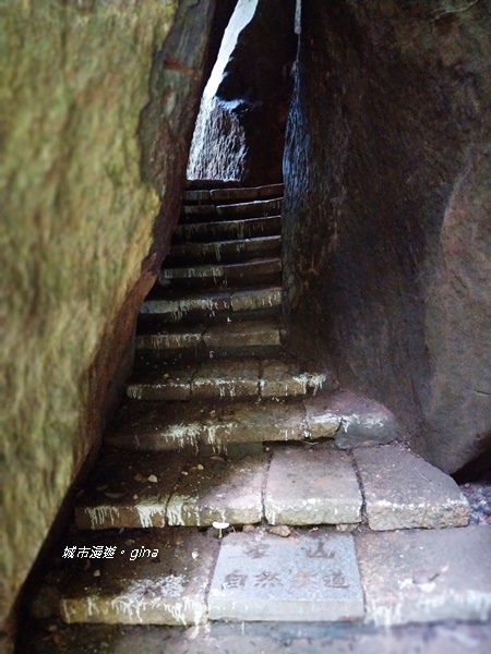 CIMG2428.jpg CIMG2428.jpg