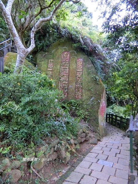 CIMG2435.JPG CIMG2435.JPG