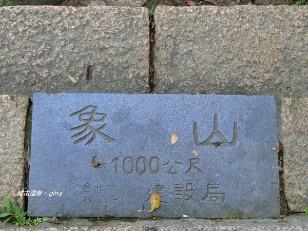 CIMG2437.JPG CIMG2437.JPG