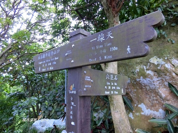 CIMG2438.JPG CIMG2438.JPG