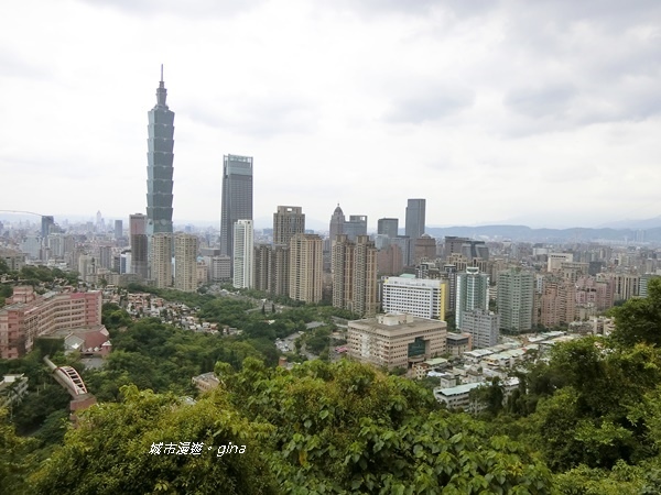 CIMG2445.JPG CIMG2445.JPG