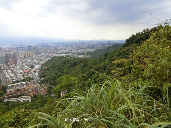 【台北信義區】城市裡就能感受山林綠意與活力健身。象山親山步道