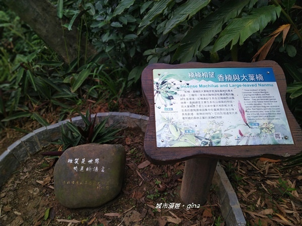 CIMG2481.jpg CIMG2481.jpg