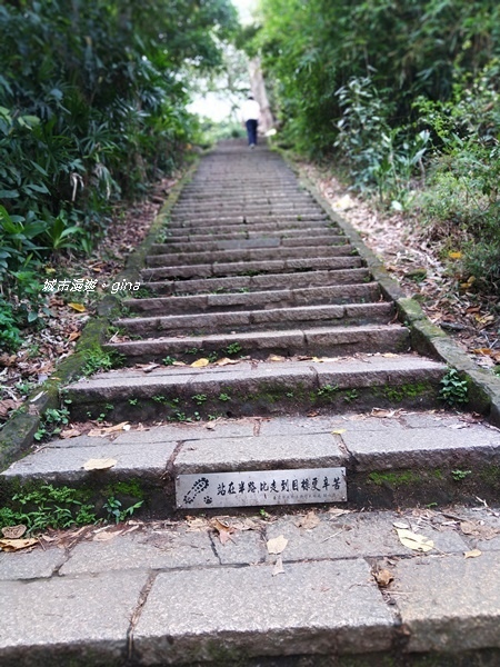 CIMG2483.jpg CIMG2483.jpg