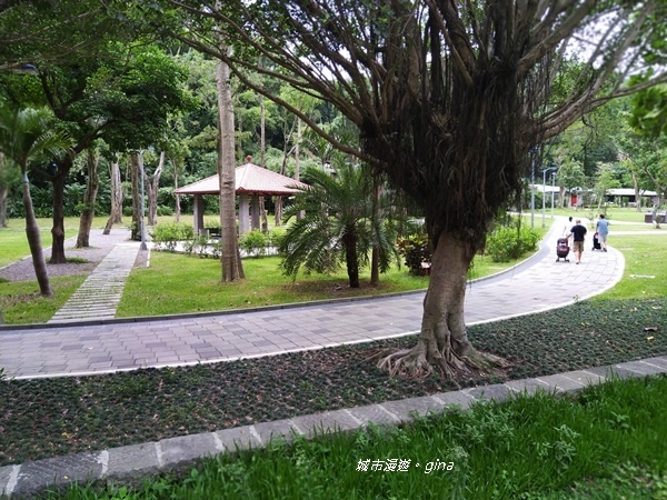 CIMG2495.jpg CIMG2495.jpg