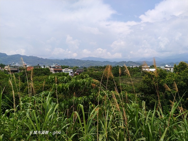 IMG_2403.jpg IMG_2403.jpg