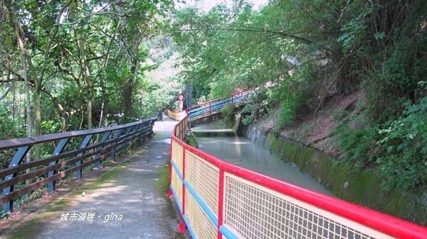 IMG_2599.JPG IMG_2599.JPG