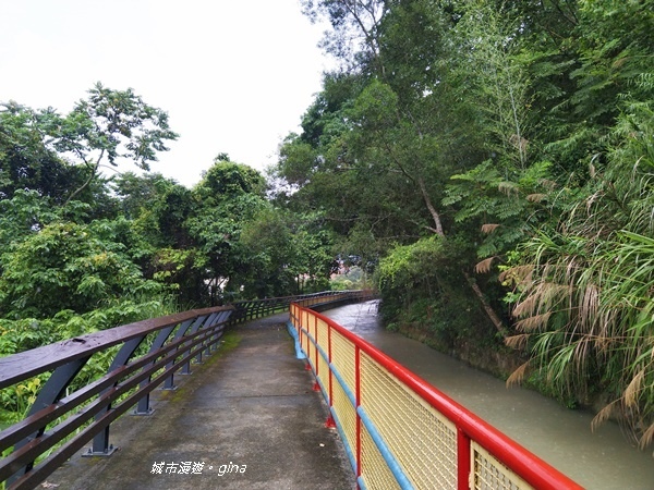 IMG_2603.jpg IMG_2603.jpg