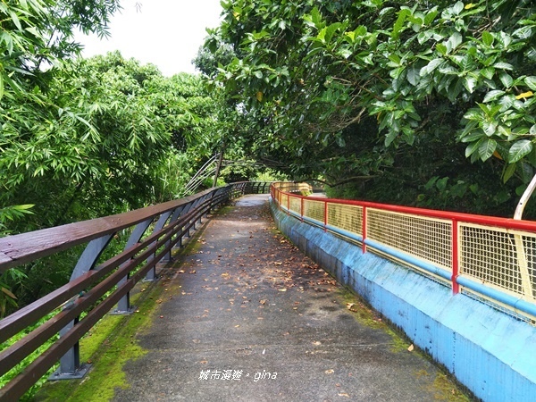 IMG_2605.jpg IMG_2605.jpg