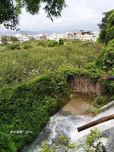 IMG_2607.jpg IMG_2607.jpg