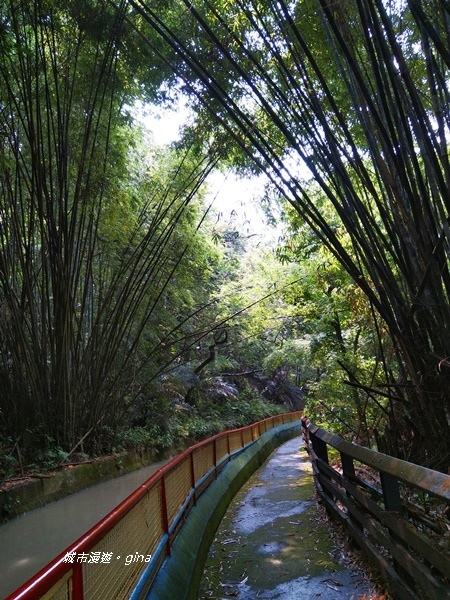 IMG_2613.jpg IMG_2613.jpg