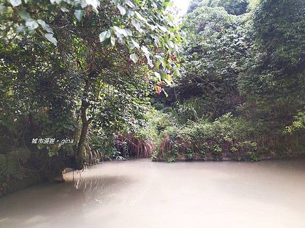 IMG_2615.jpg IMG_2615.jpg