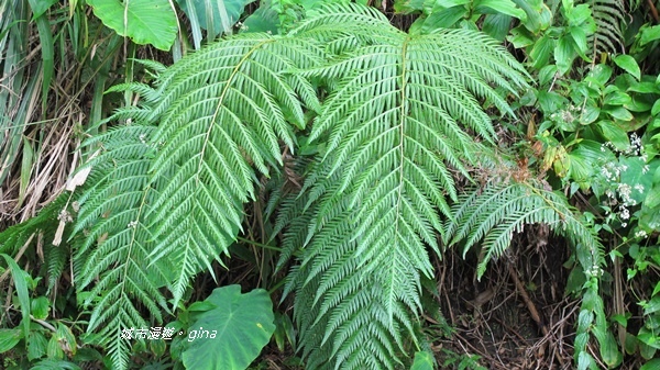 IMG_2620.JPG IMG_2620.JPG