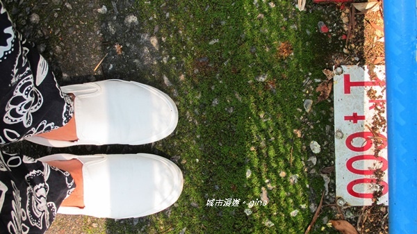 IMG_2630.JPG IMG_2630.JPG