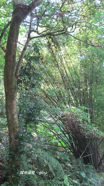 IMG_2631.JPG IMG_2631.JPG