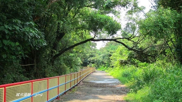 IMG_2638.JPG IMG_2638.JPG