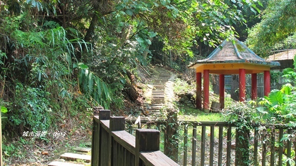 IMG_2641.JPG IMG_2641.JPG