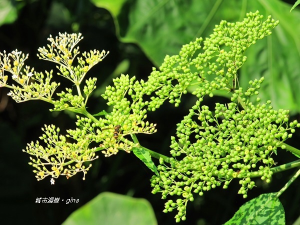 IMG_2643.JPG IMG_2643.JPG