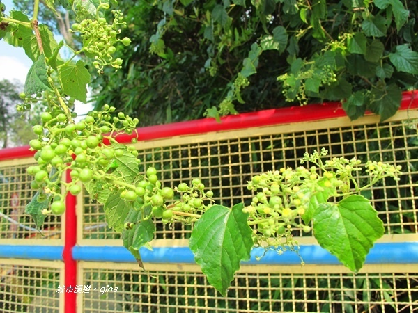 IMG_2646.JPG IMG_2646.JPG