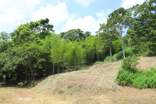 IMG_3660.JPG IMG_3660.JPG