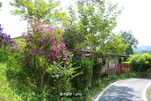 IMG_3661.JPG IMG_3661.JPG