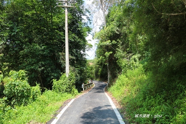 IMG_3662.JPG IMG_3662.JPG