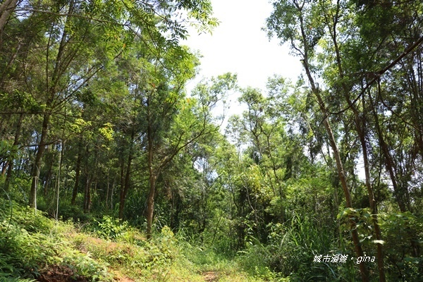 IMG_3663.JPG IMG_3663.JPG