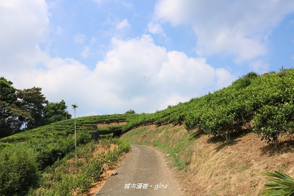 IMG_3664.JPG IMG_3664.JPG