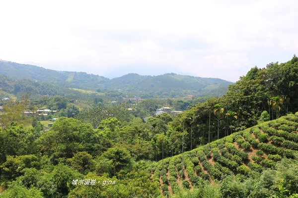 IMG_3665.JPG IMG_3665.JPG