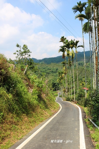 IMG_3667.JPG IMG_3667.JPG