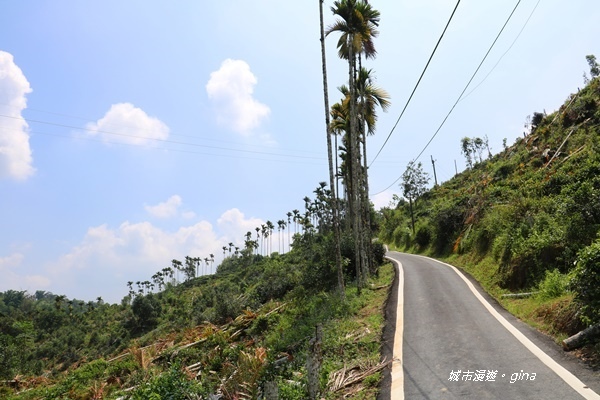 IMG_3670.JPG IMG_3670.JPG