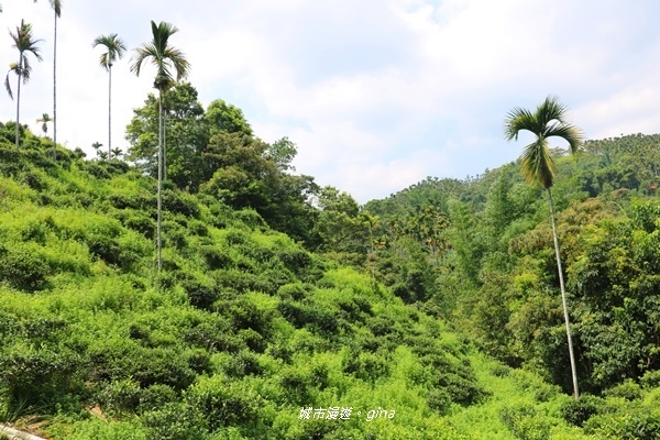 IMG_3672.JPG IMG_3672.JPG