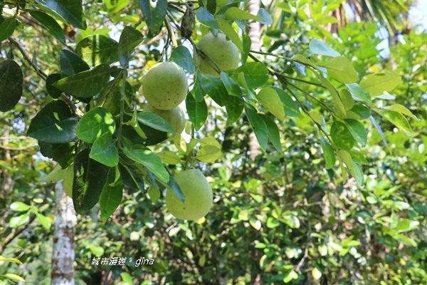 IMG_3674.JPG IMG_3674.JPG