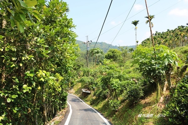 IMG_3675.JPG IMG_3675.JPG