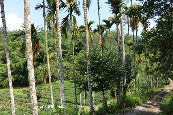 IMG_3676.JPG IMG_3676.JPG