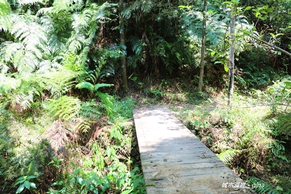 IMG_3677.JPG IMG_3677.JPG