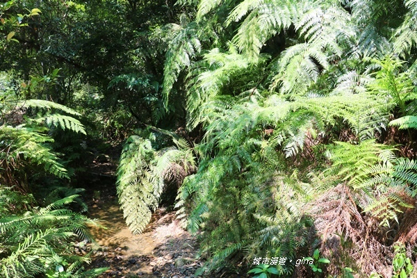 IMG_3678.JPG IMG_3678.JPG