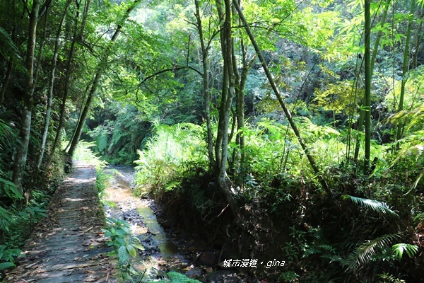 IMG_3680.JPG IMG_3680.JPG