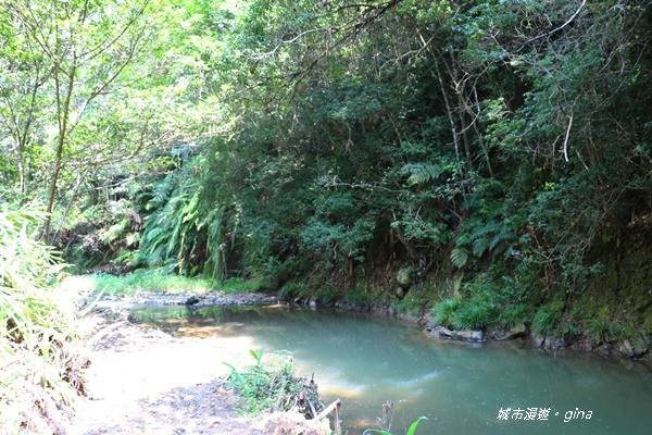 IMG_3682.JPG IMG_3682.JPG