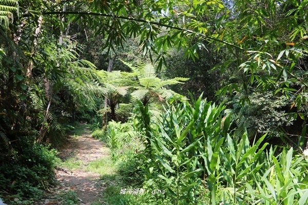 IMG_3685.JPG IMG_3685.JPG