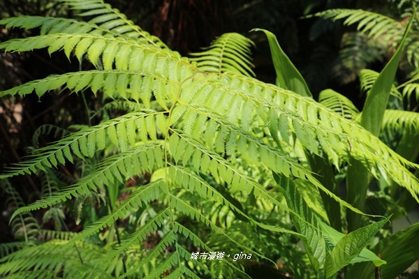 IMG_3686.JPG IMG_3686.JPG