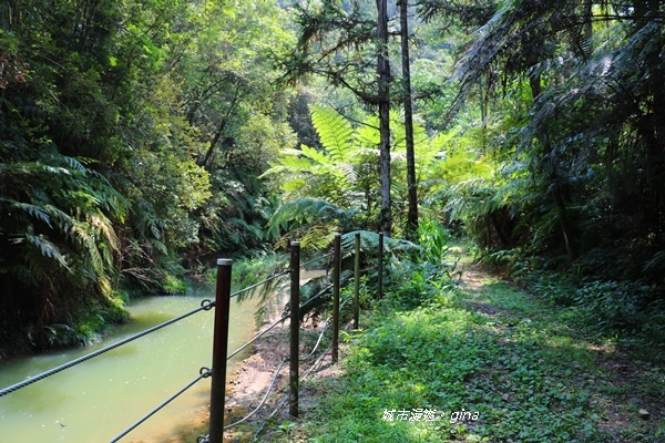 IMG_3690.JPG IMG_3690.JPG