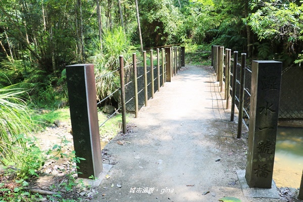 【南投魚池】天晴健行趣。 台版侏儸紀公園_澀水森林步道x山豬