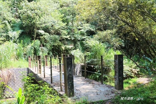 IMG_3695.JPG IMG_3695.JPG