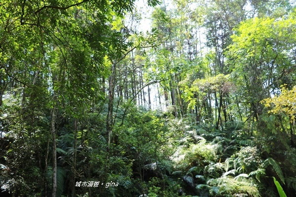 IMG_3699.JPG IMG_3699.JPG