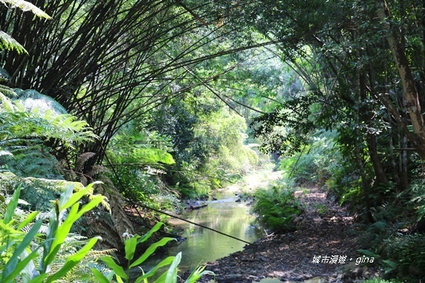 IMG_3701.JPG IMG_3701.JPG