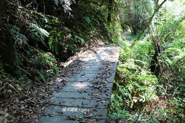 IMG_3704.JPG IMG_3704.JPG