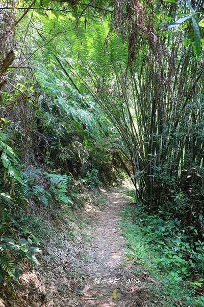 IMG_3705.JPG IMG_3705.JPG