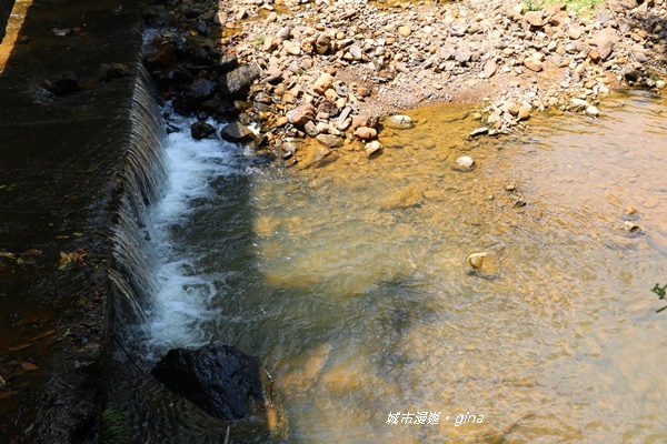 IMG_3709.JPG IMG_3709.JPG