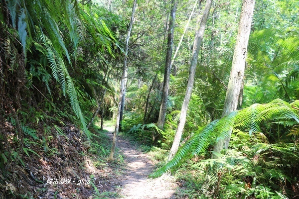 IMG_3712.JPG IMG_3712.JPG